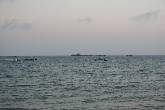 IMG_2764.jpg (76987 bytes)